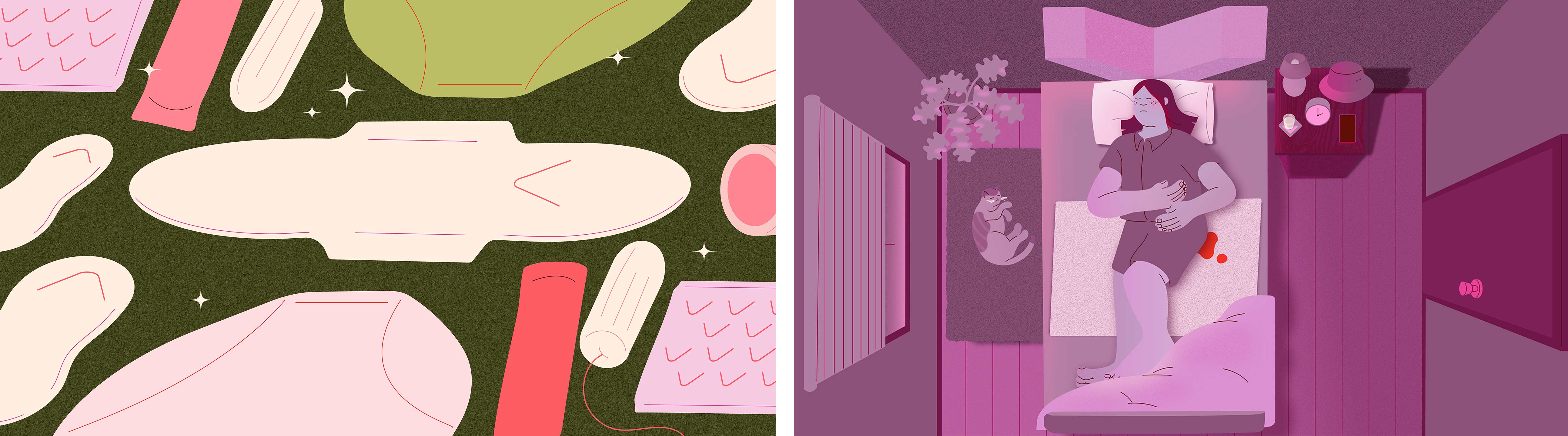 Sarah Cliff Illustration