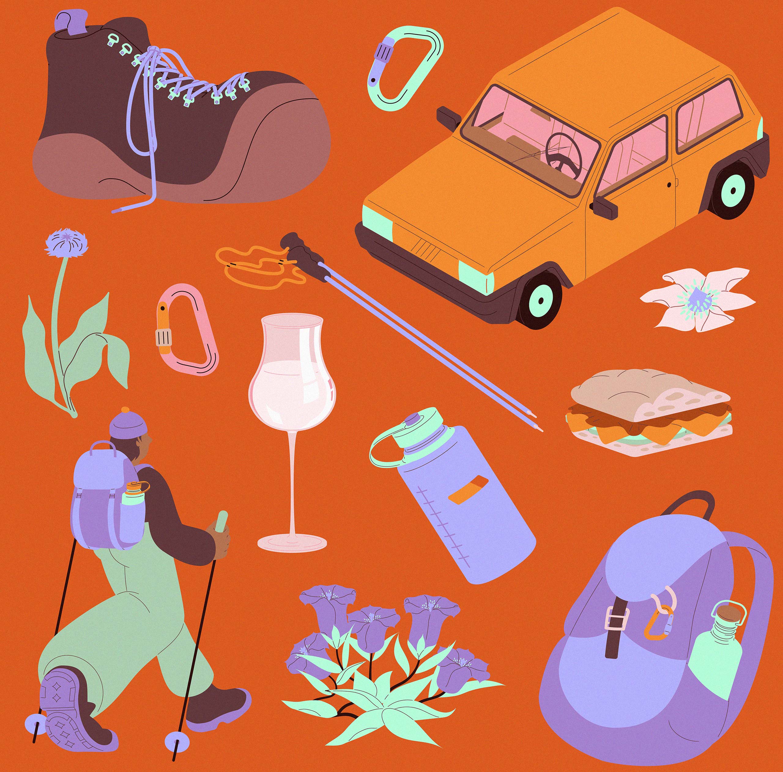 Sarah Cliff Illustration